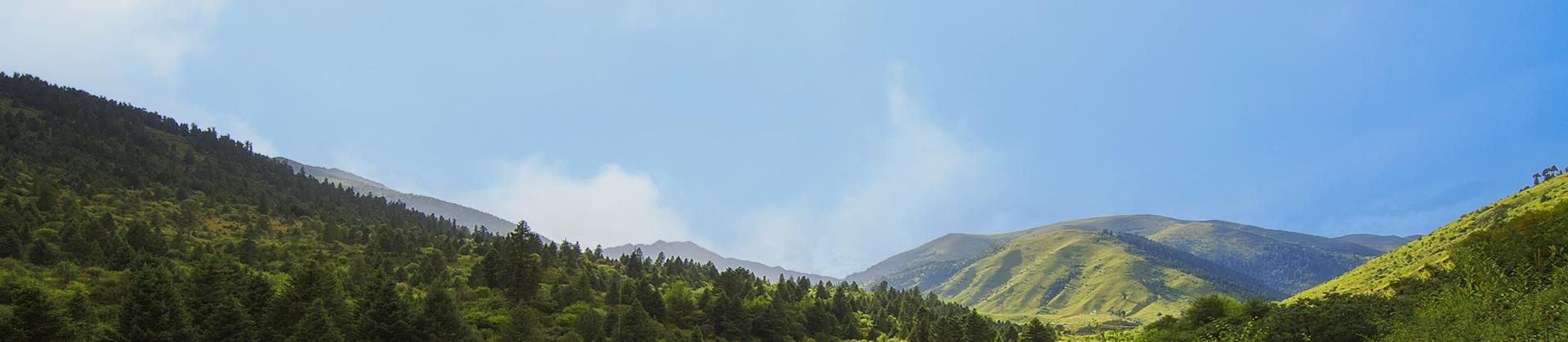 乐竞在线登录官网